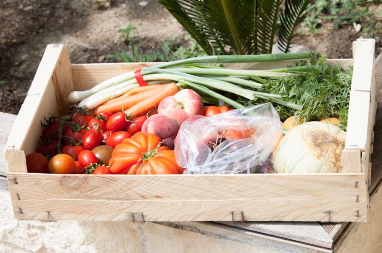 le paysan de provence