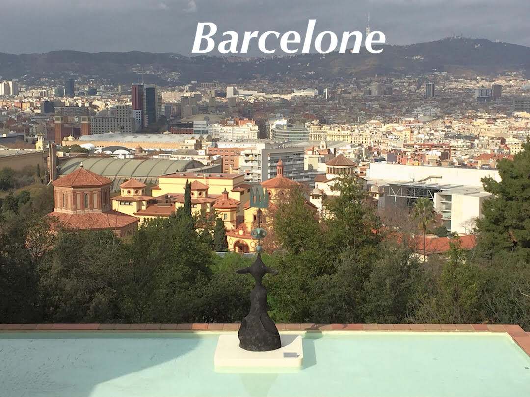 Visit-to-barcelone-ciudad-centre-ville