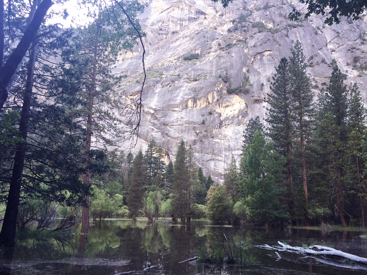parc-national-yosemite-lcdm