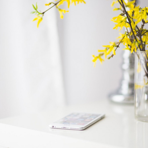 blog-les-chroniques-de-myrtille-decouvertes-2.0-2