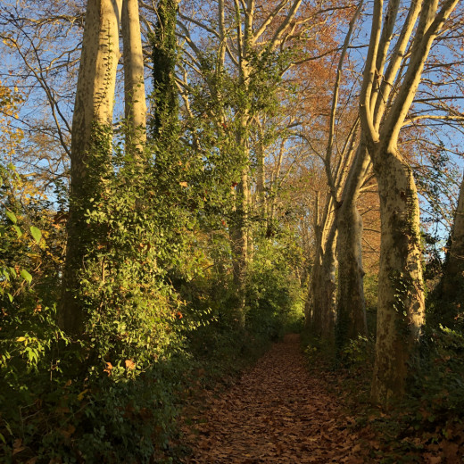 Domaine-de-lavalette-blog-lcdm-12